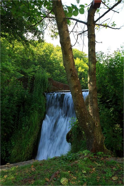 فندق Fruktarium Vendeghaz Trizs المظهر الخارجي الصورة